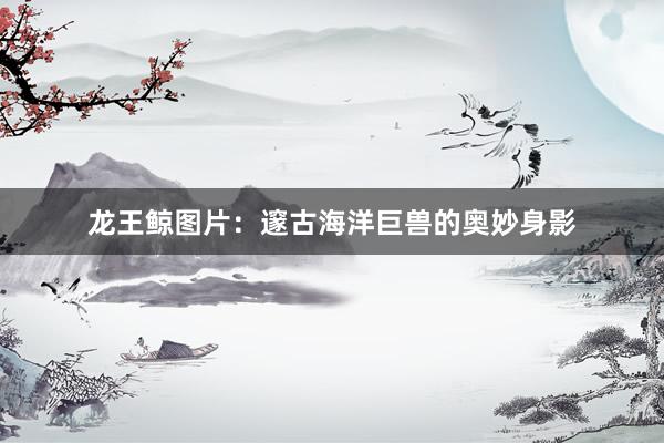 龙王鲸图片：邃古海洋巨兽的奥妙身影